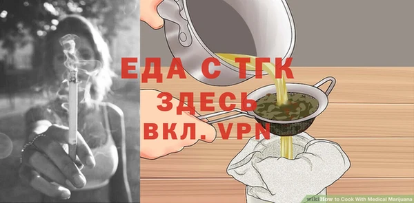 индика Абаза