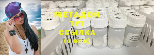 индика Абаза