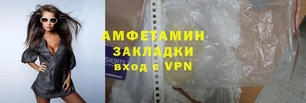 индика Абаза
