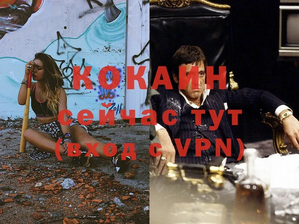 индика Абаза
