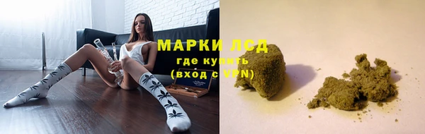 индика Абаза