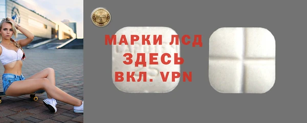 индика Абаза