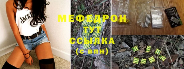 индика Абаза