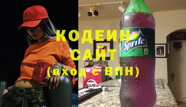 индика Абаза