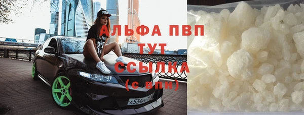 индика Абаза