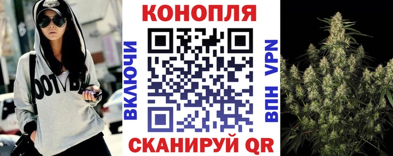 Канабис ГИДРОПОН  гидра ТОР  Пенза 